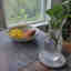 Customer photo 3 of 4