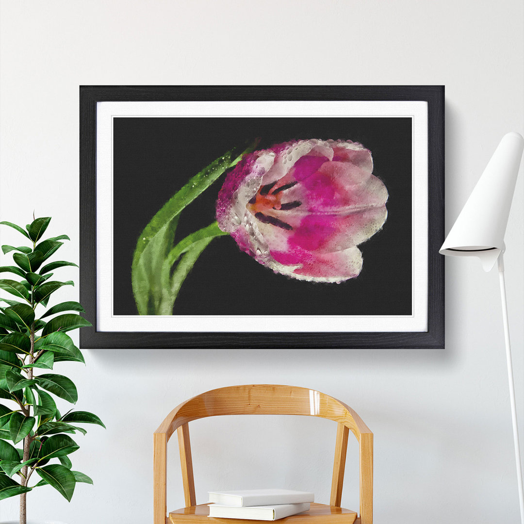 Pink Tulip - Single Picture Frame Print on MDF
