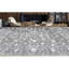 Oriental Area Rug in Gray