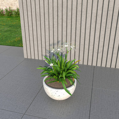 Trevonna Round Bowl-Shaped Fiberstone Planter Handmade MGO Clay Plant Pot with Drainage Holes for Indoor & Outdoor Use
