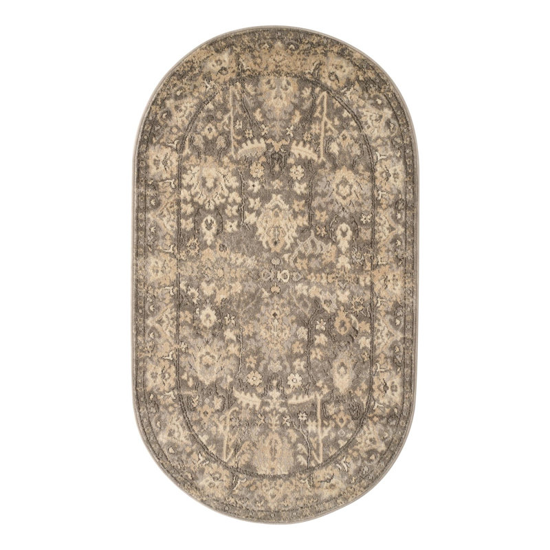 Burrill Abstract Gray Area Rug, Oval 3'3" x 5'3"