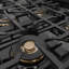 ZLINE Autograph 36 in. Classic Gas DuoPro Range in Satin Steel and Champagne Bronze Accents-1717867642-1717867641
