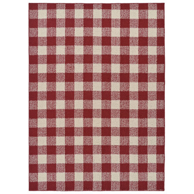 Trosclair Checkered Indoor / Outdoor Rug