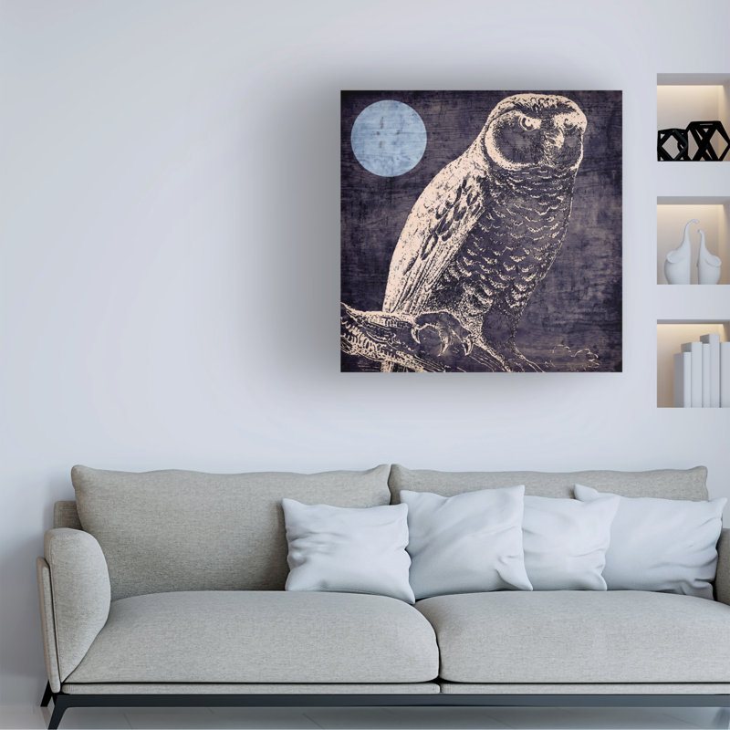Bolog Sasha Owl 1 Canvas Art, 14" H x 14" W