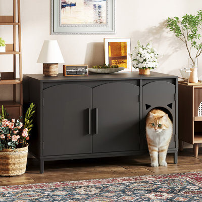 Hidden Cat Litter Box Enclosure