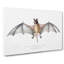 Bat Illustration by John Edward Gray - Wrapped Canvas-55304275
