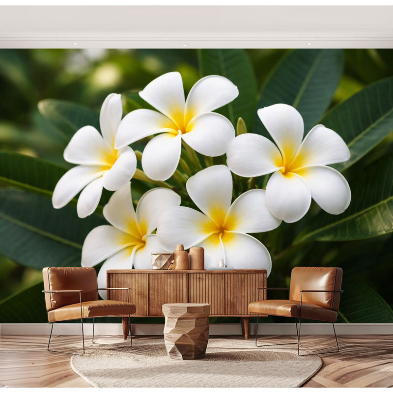 Papier peint adhésif peler et coller fleurs de plumeria blanches feuilles noires, L 96 po x l 69 po
