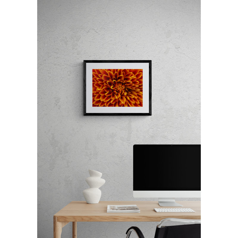 Orange par Harold Davis - photographie, Papier avec cadre noir, H 16 po x l 20 po