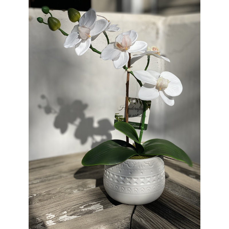 Centre de table orchidées en pot