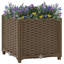 Roodhouse Raised Garden Bed-1462280187-1462280184