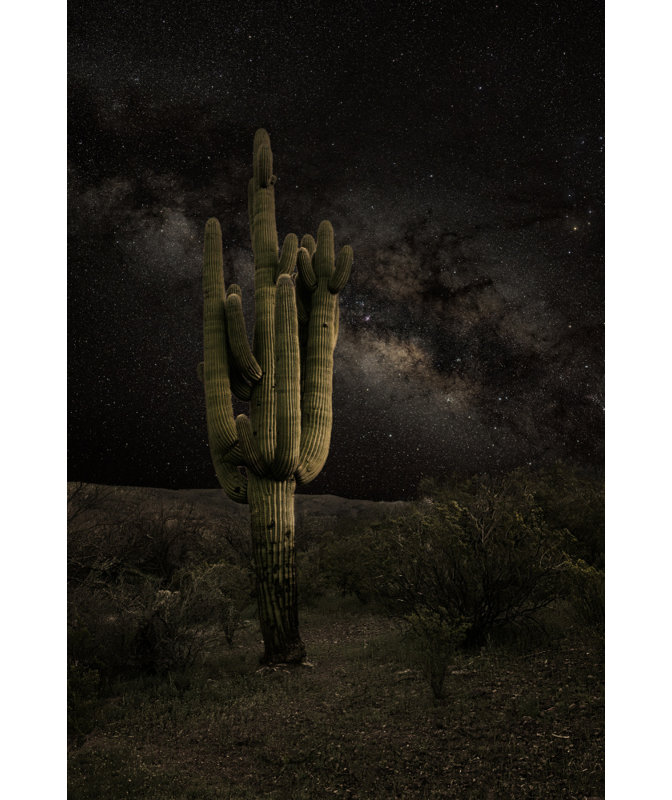 Wrapped Canvas Print, 76.2 cm H x 50.8 cm W
