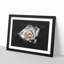 A White Rose - Picture Frame Graphic Art Print-56875872-56875871