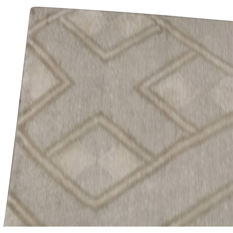 Hand Knotted Geometric Area Rug in Beige