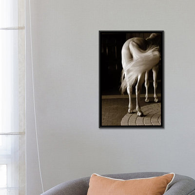 Swoosh by Jim Dratfield - Gallery-Wrapped Canvas Giclée