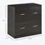 Classeur à 2 tiroirs avec serrure et clés, classeur avec barre de suspension pour format lettre, bureau à domicile-1620112390