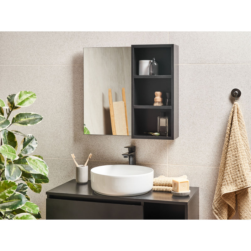 Bathroom Wall Mounted Mirror Cabinet JOINVILLE 60 cm 54 cm, Black