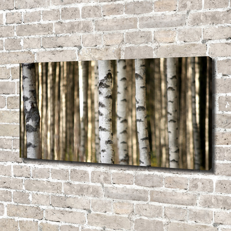 Birches - Wrapped Canvas Print, Canvas, 70cm H x 140cm W