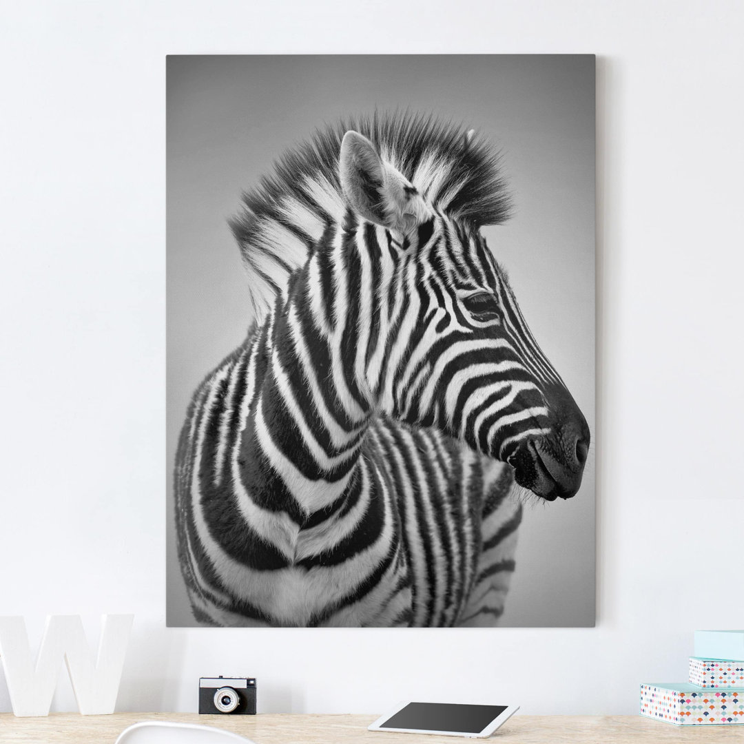 Glasbild Baby Zebra II