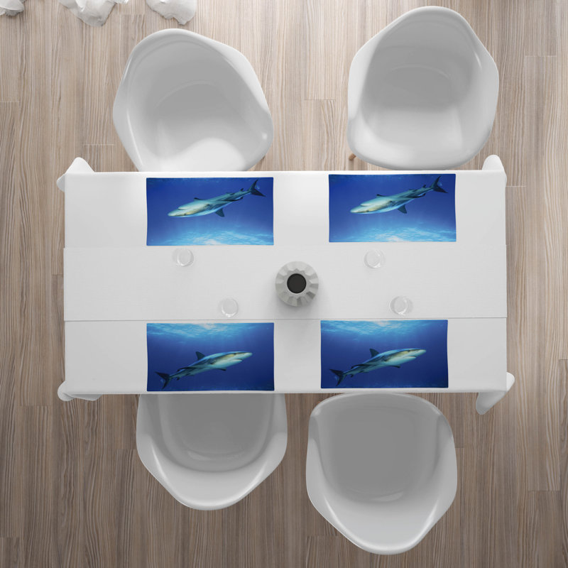 Récapitulatif 18,5" shark