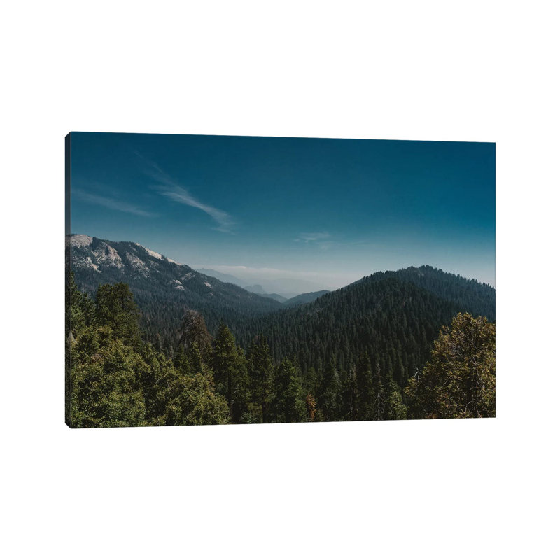 Sequoia National Park 1 Piece Wall Art on Canvas, 66.04cm H x 101.6cm W x 1.91cm D, Wrapped Canvas