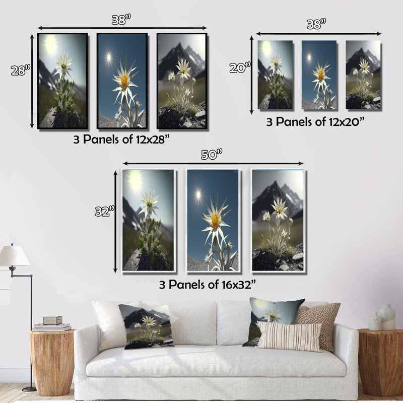 «Blossoming Edelweiss Flower Under Sun», 3 pièces, Cadre flottant doré, H 40 po x l 60 po