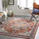 Aldusa Oriental Indoor Rug