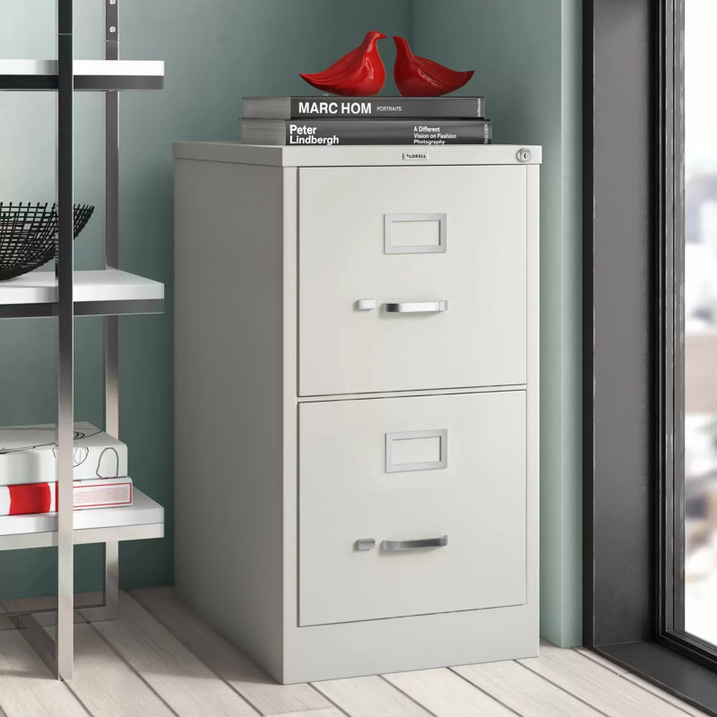 Light Gray 2-Drawer Lockable Vertical Steel File Cabinet
