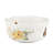 Lenox Butterfly Meadow 2 Piece Soup Bowl Set