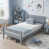 Grey est en rupture de stock