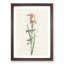 Blue & Yellow Warbler Birds by John James Audubon - Picture Frame Painting Print-55544631-55544635