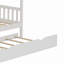 Lit superposé simple au-dessus de simple en bois massif avec lit gigogne Dalzell par Harper Orchard-1706081743
