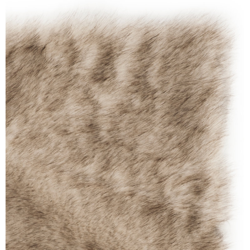 Tapis beige Taneytown, Rectangulaire 3 pi x 5 pi