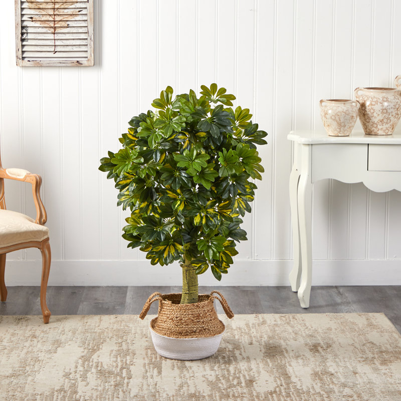 48'' Faux Foliage Tree in Basket, Tan/White