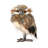 Christmas Owl Figurines & Collectibles