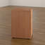 Buariki 40.4cm Wide 3 -Drawer File Cabinet-30736120