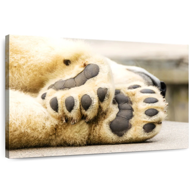 Brampt Polar Bear Paws, 32" H x 48" W