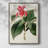 FloraOfTheTropicsI Framed Print - Solid Wood-672402831