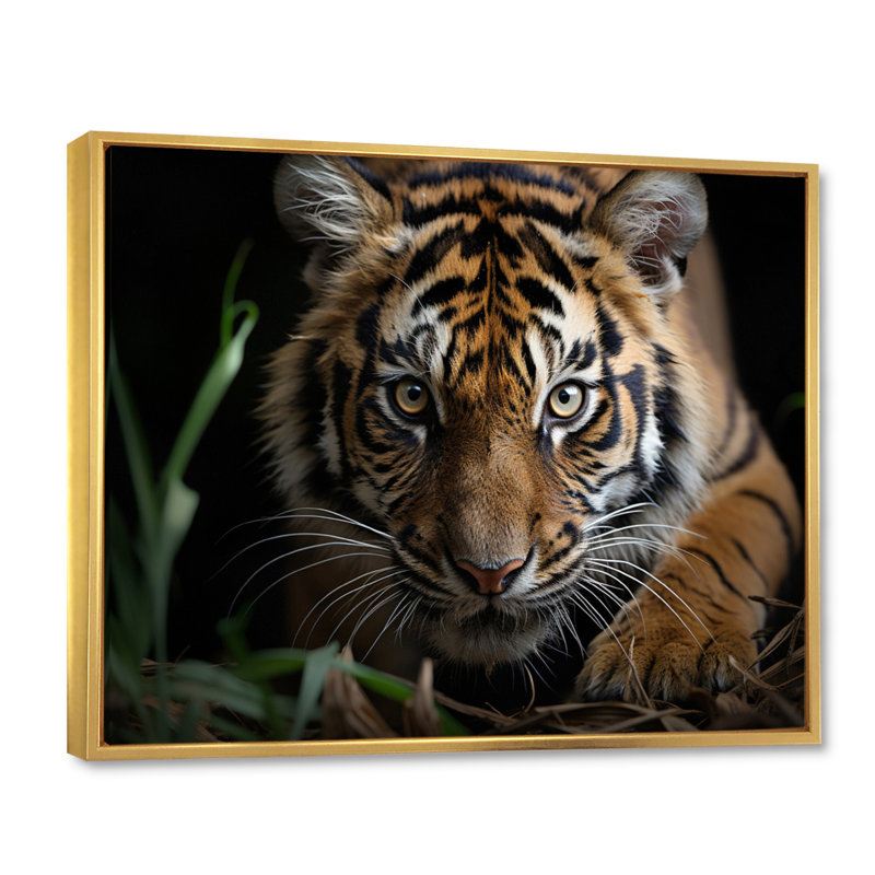 Portrait de tigre brun - art mural tigre, H 12 po x l 20 po x P 1 po, Cadre flottant doré