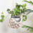 Advika Handmade Hanging Planter