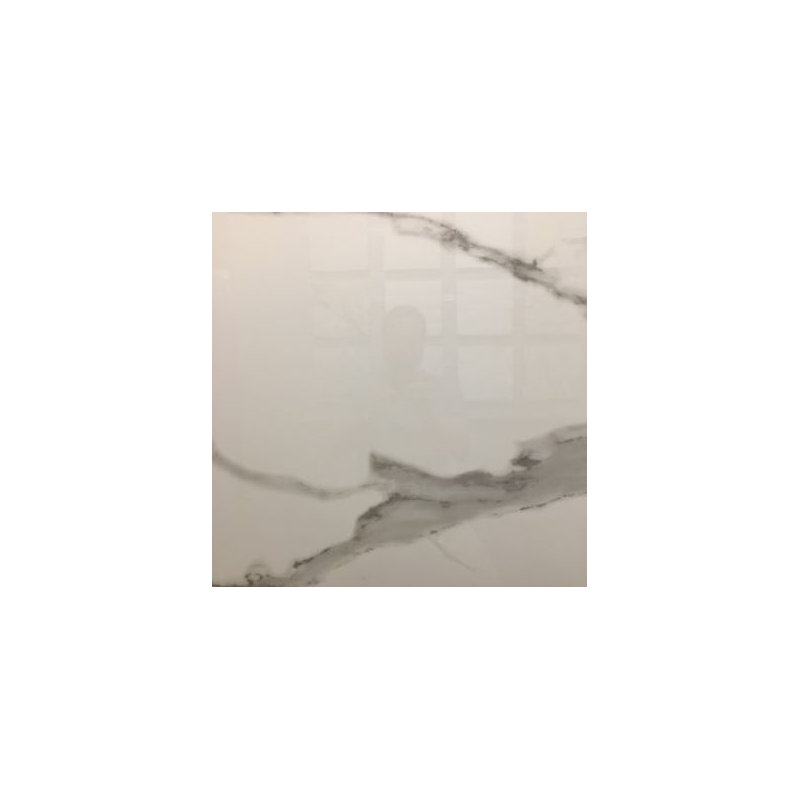 Calacatta Statuario Porcelain Matte, 24" W x 24" L