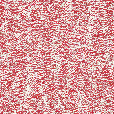 Drizzle Wallpaper