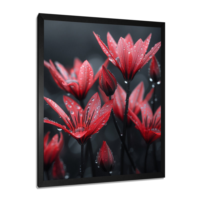 Monochromes de pissenlit, gouttes de pluie, I - art mural pissenlit, Cadre simple noir, H 12 po x l 20 po