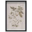 Oliver Gal Illustration of Flowers Floral and Botanical - Luxury Shadowbox Framed Wall Art-1523304292-1523304293