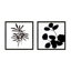 Modern Botanical, Set Of 2 Print by Lee Lessem