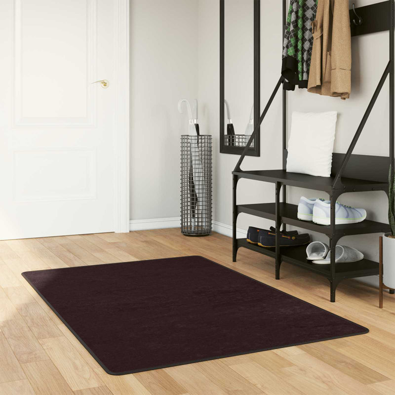 Standard Area Rug, Rectangle 100 x 150 cm