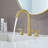 2-handle Bathroom Faucet with Drain Assembly-73695307