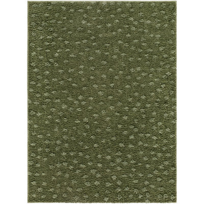 Farshid Machine Woven Area Rug