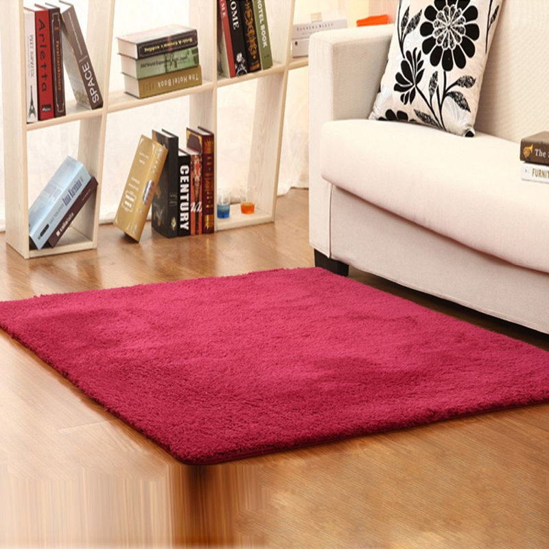 Indoor Rug