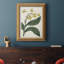 Toile encadrée de qualité supérieure Antique Botanical Collection X - prête à être accrochée-378111425