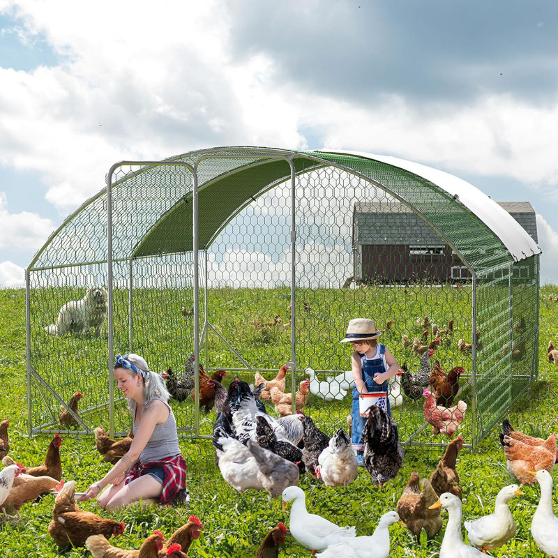 Geraud Chicken Run with Wire Mesh, 198.1cm H x 299.7cm W x 400cm D